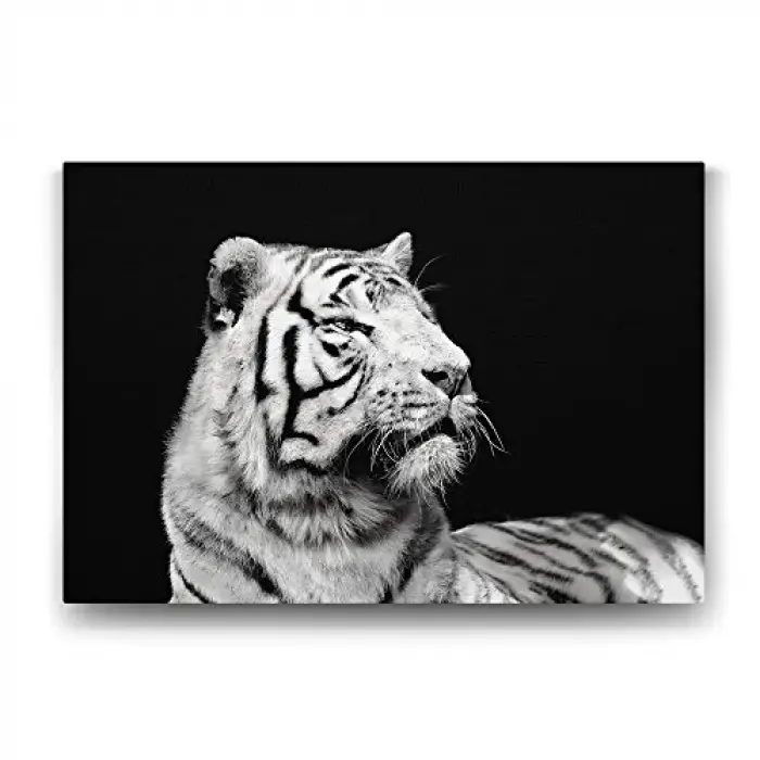 Beyaz Kaplan Profil Tablosu - 60x40cm
