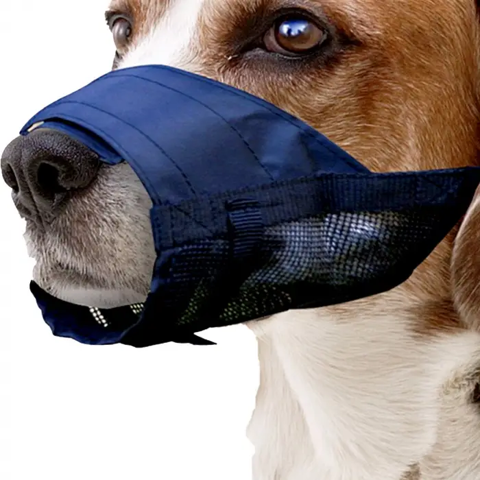 Bez Köpek Ağızlığı No:2 S