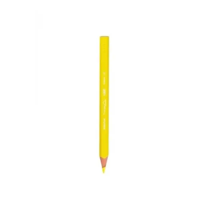 Bic Kids Evolution Üçgen Jumbo Kuru Boya Kalemi 12 Renk