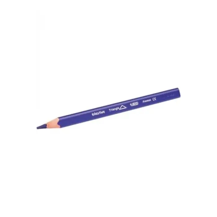 Bic Kids Evolution Üçgen Jumbo Kuru Boya Kalemi 12 Renk