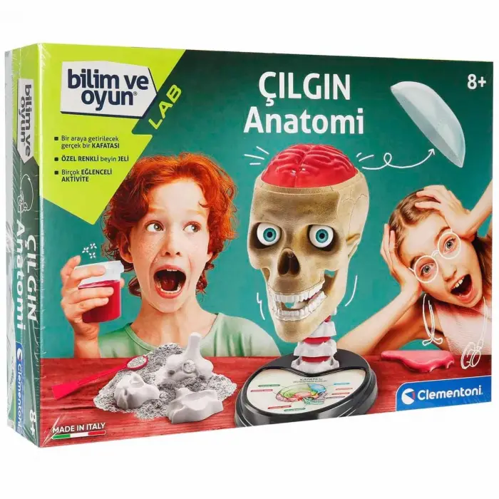 Bilim ve Oyun - Çılgın Anatomi Oyuncak