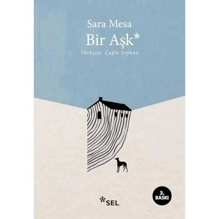 Bir Aşk — Kitap ( )