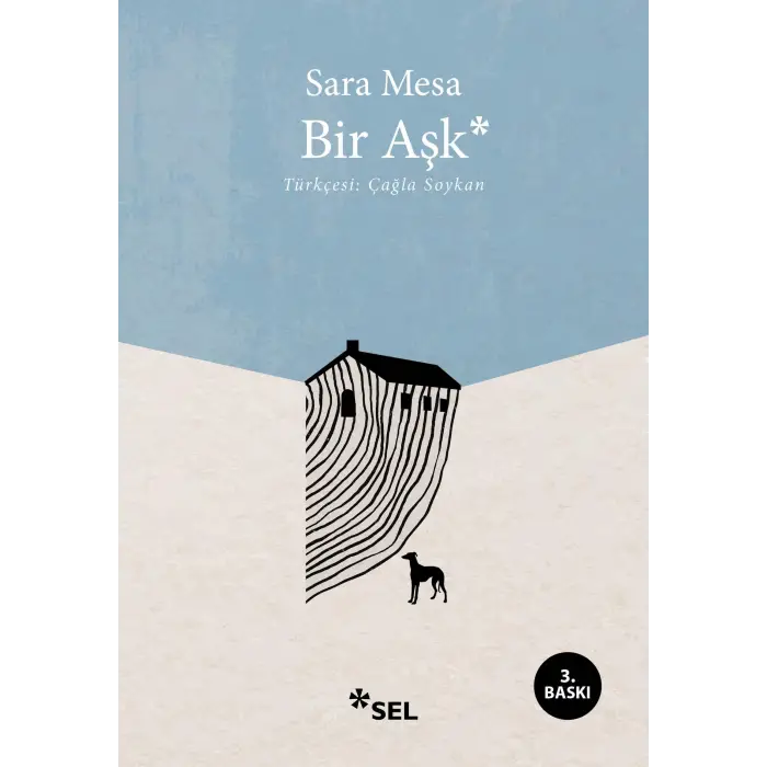 Bir Aşk — Kitap ( )
