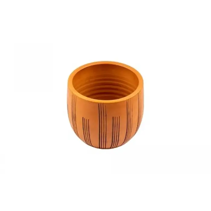 Bitki Tasarımı Ev Dekorasyon 19 CM Saksı