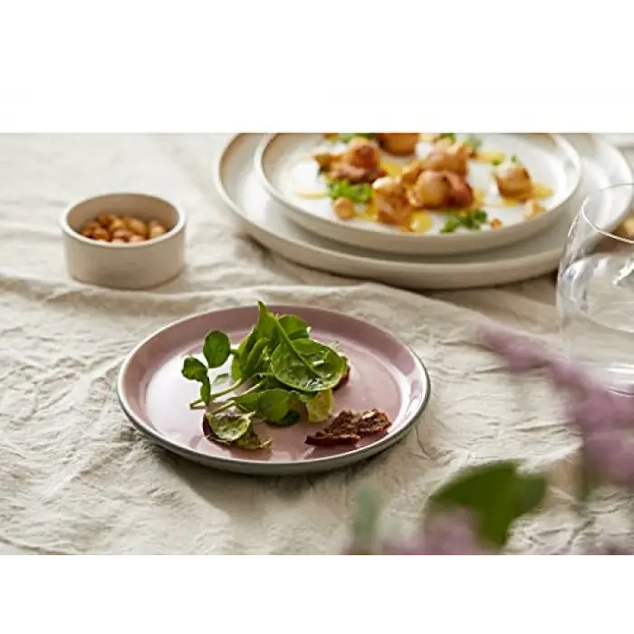 Bıtz Gastro Tabak Siyah/Koyu Mavi Çap:17 Cm