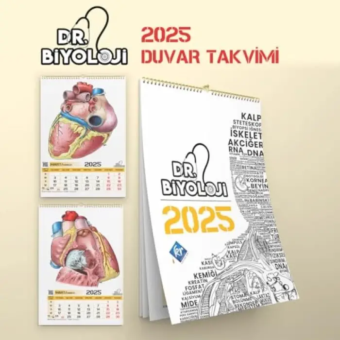 Biyoloji posteri ve takvim