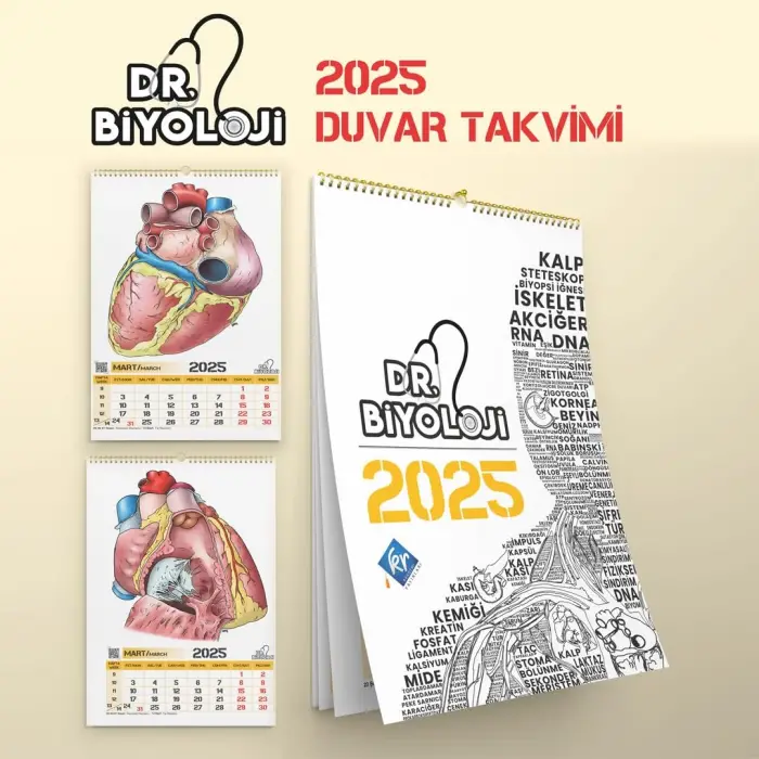 Biyoloji posteri ve takvim