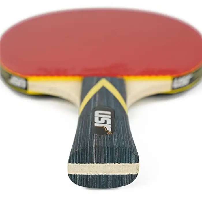 Blast Ittf Onaylı Masa Tenisi Raketi