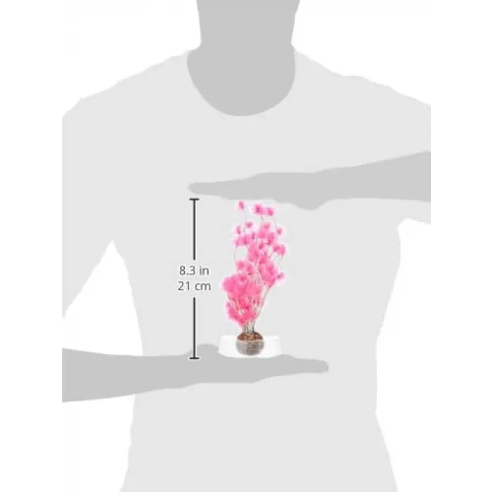 Bonsai Topu Pembe