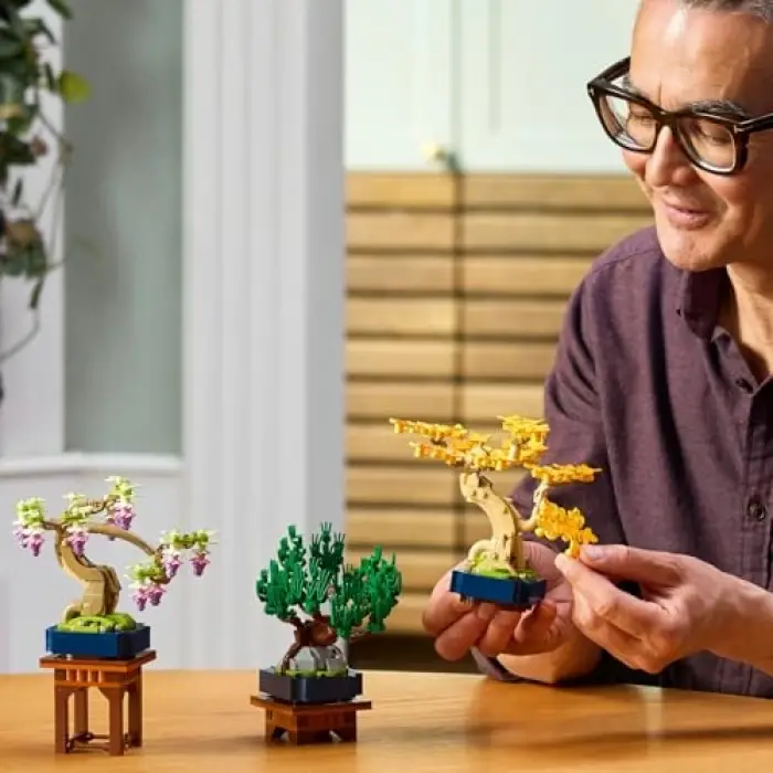 Botanicals Mini Bonsai Ağaçları 10373