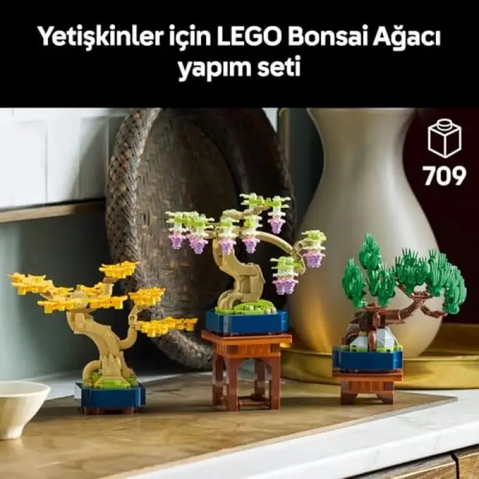 Botanicals Mini Bonsai Ağaçları 10373