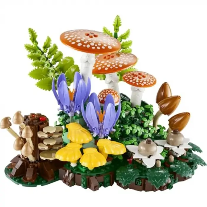 Botanicals Orman Mantarları 11505