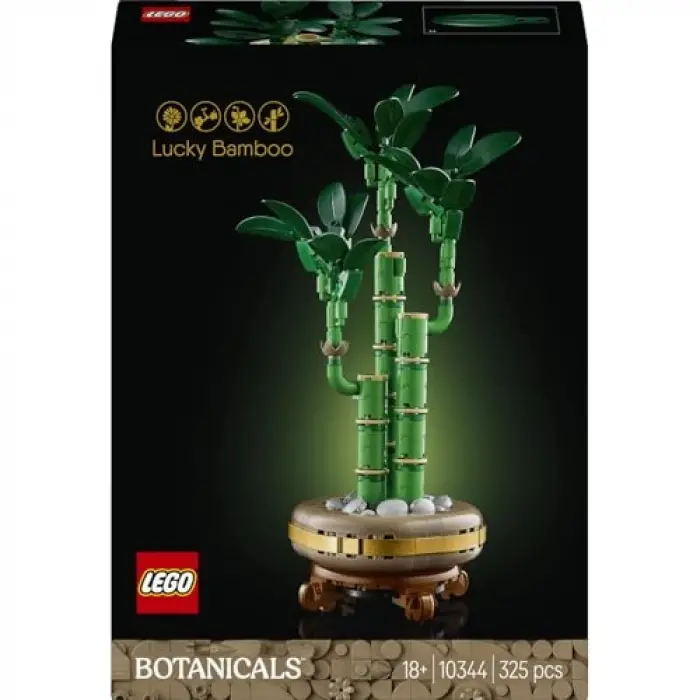 Botanicals Şans Bambusu 10344