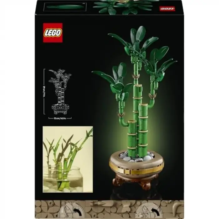 Botanicals Şans Bambusu 10344
