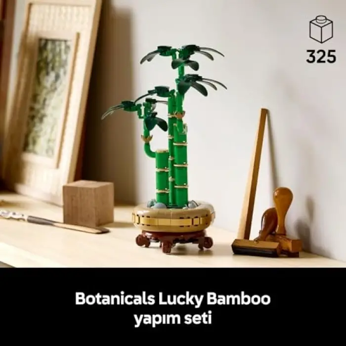 Botanicals Şans Bambusu 10344