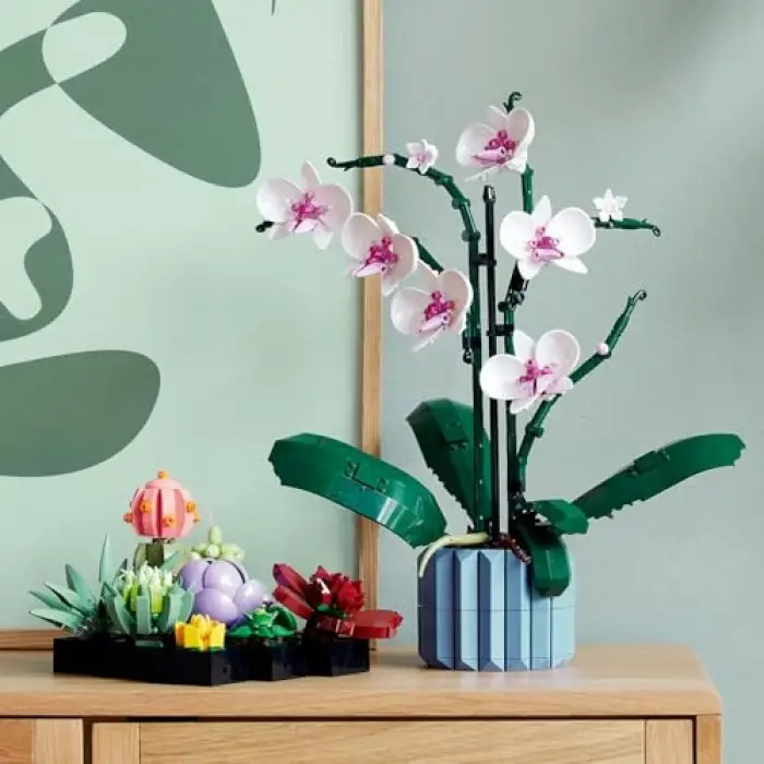 Botanicals Sukulentler 10309