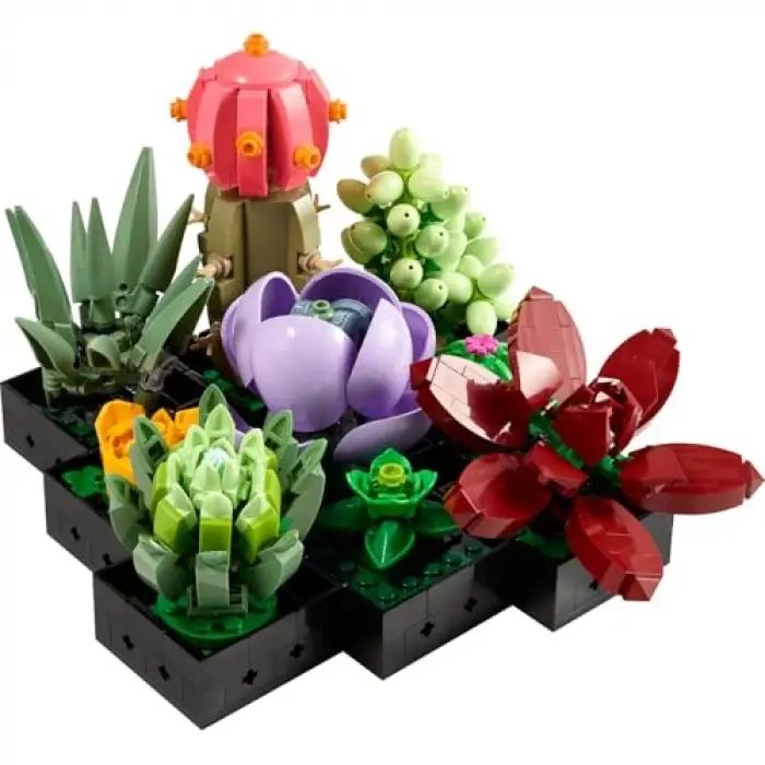 Botanicals Sukulentler 10309