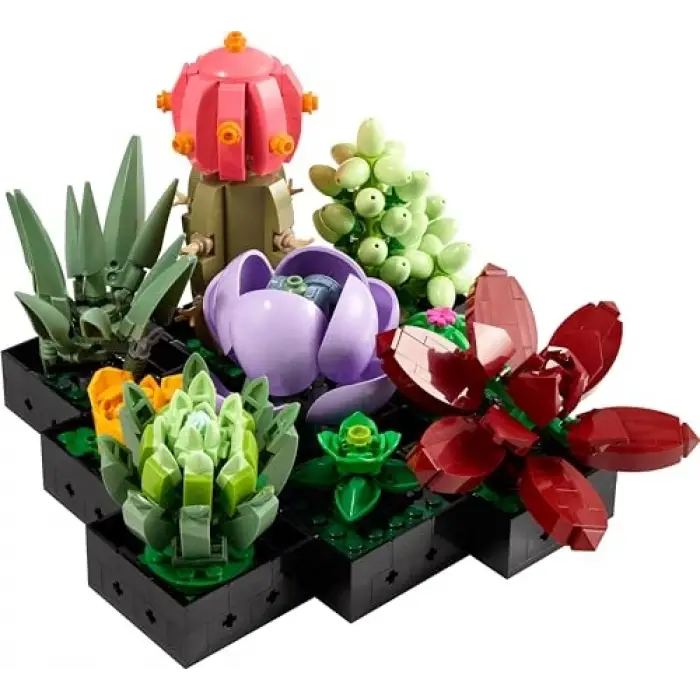 Botanicals Sukulentler 10309