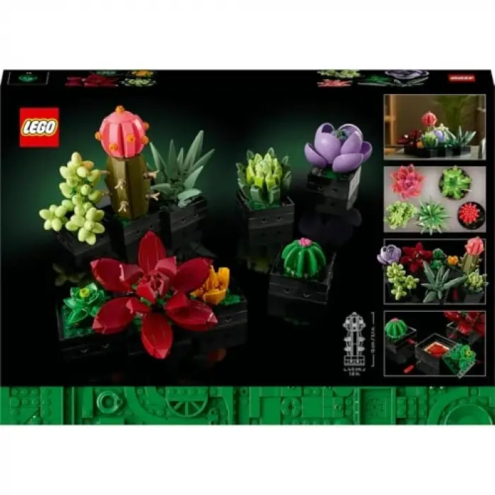 Botanicals Sukulentler 10309