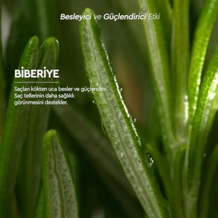 Botanics+ Saf Biberiye Suyu