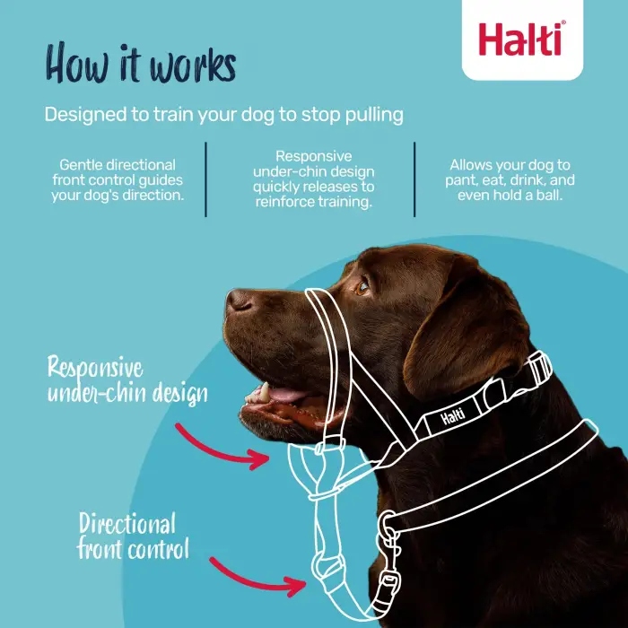 Boyut 2 Siyah Köpek Halter Tasması, 35-48 cm
