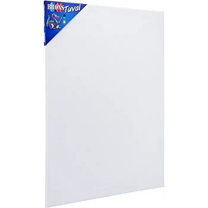 BR-335 Tuval 25X35