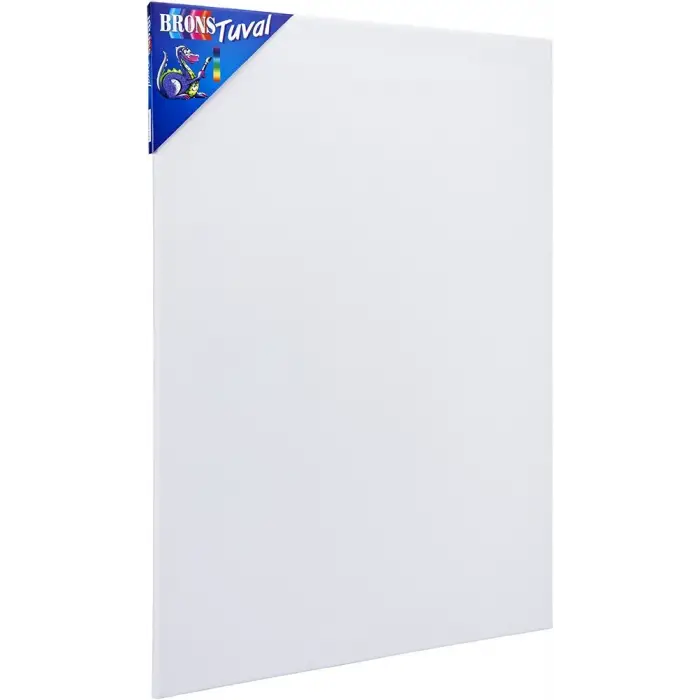 BR-335 Tuval 25X35