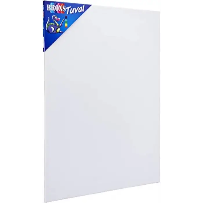 BR-335 Tuval 25X35
