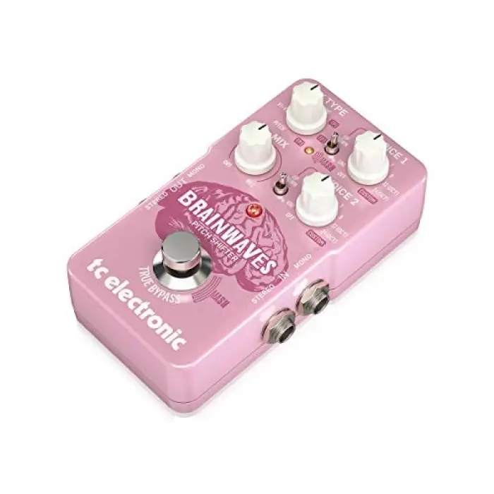 Braınwaves Pıtch Shıfter Pitch Shifter Pedalı