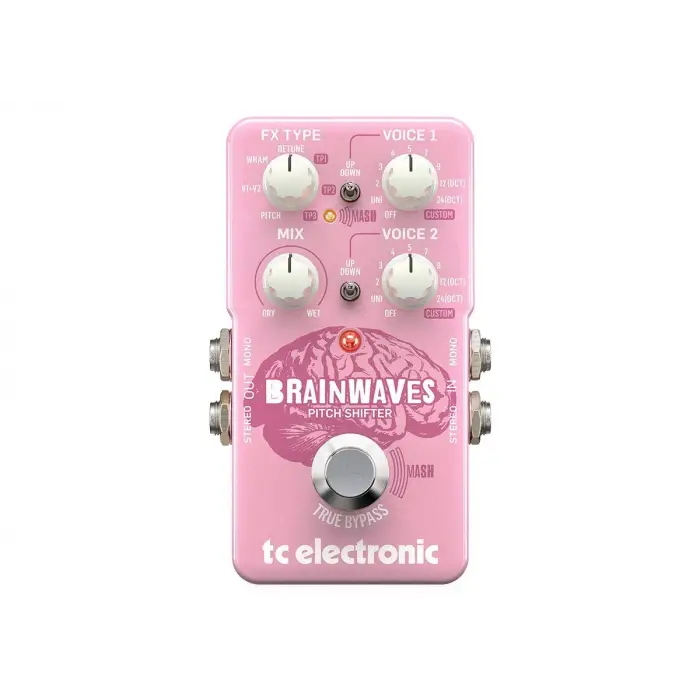 Braınwaves Pıtch Shıfter Pitch Shifter Pedalı