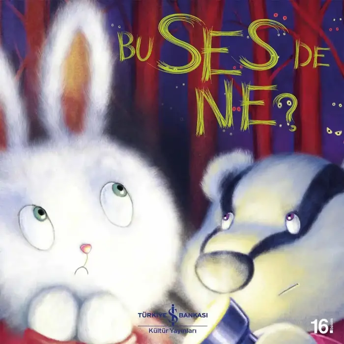 Bu Ses de Ne?