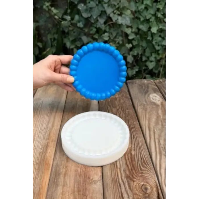 Bubble Dairesel Silikon Tepsi Kalıbı