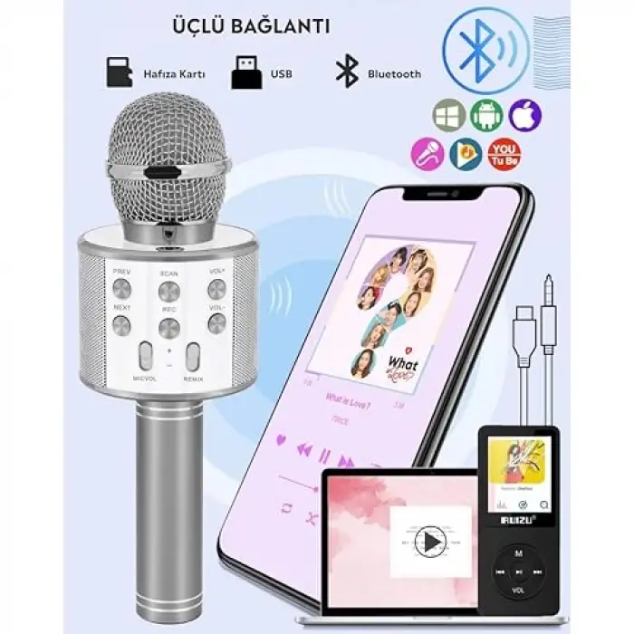 C-8501 Karaoke Mikrofon Bluetooth USB & TF & Aux (Silver)