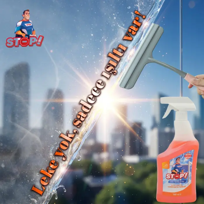 Cam Temizleyici Sprey 750 ml