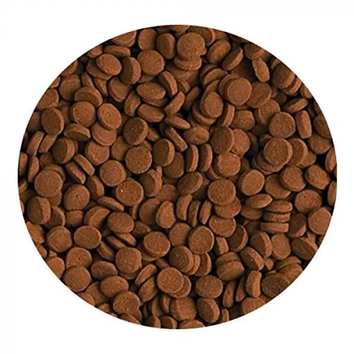 Carnivore 100 g Kovadan Bölme