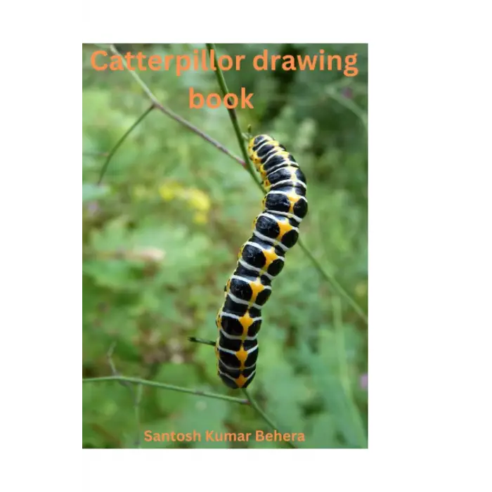 Catterpillor drawing Dizüstü Bilgisayar