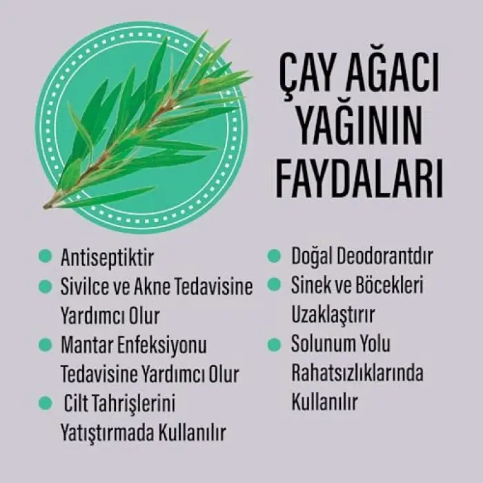 Çay Ağacı Roll-on 50 ml