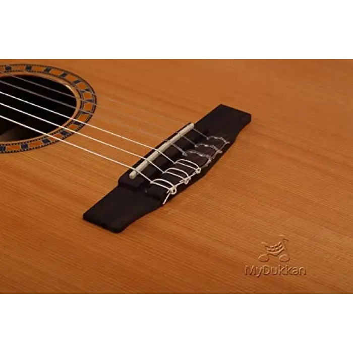 CEC5 Nat elektro klasik gitar