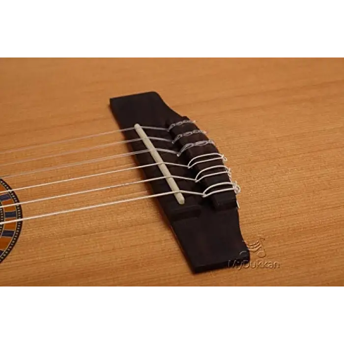 CEC5 Nat elektro klasik gitar
