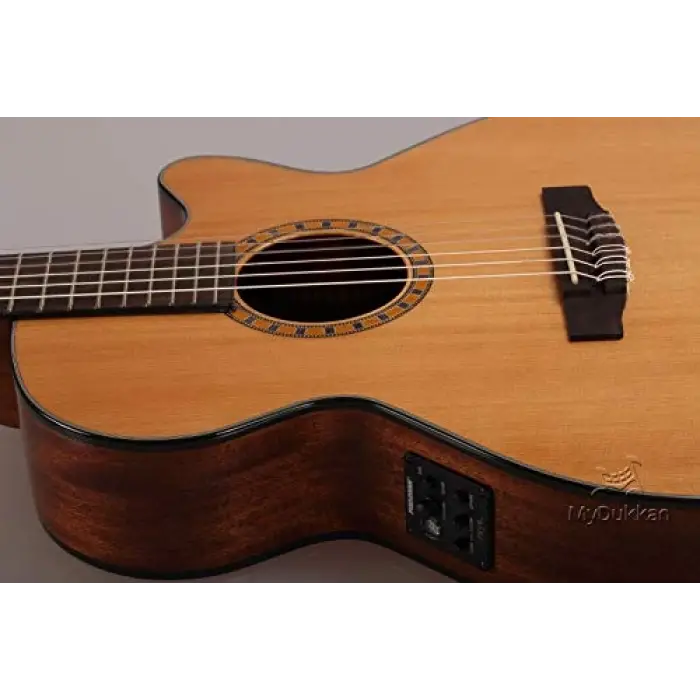 CEC5 Nat elektro klasik gitar