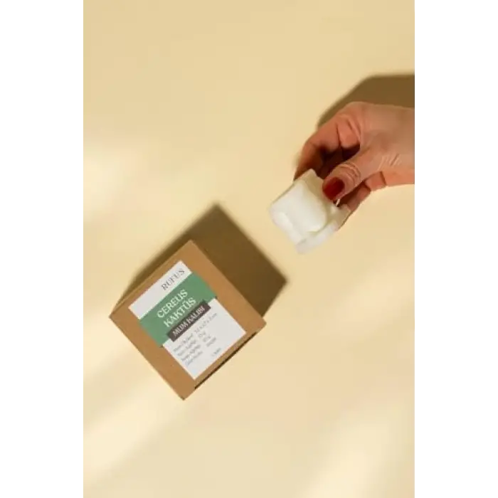 Cereus Kaktüs Silikon Mum Kalıbı