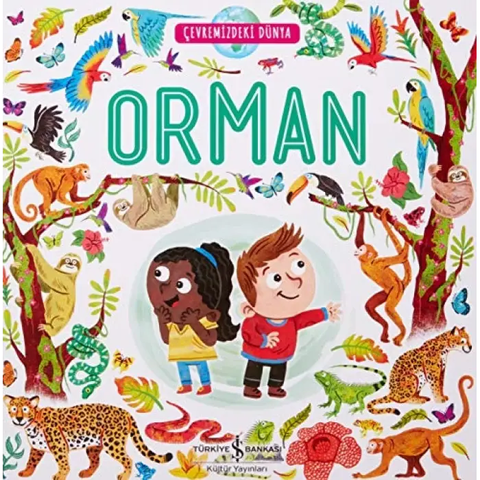 Çevremizdeki Dünya - Orman
