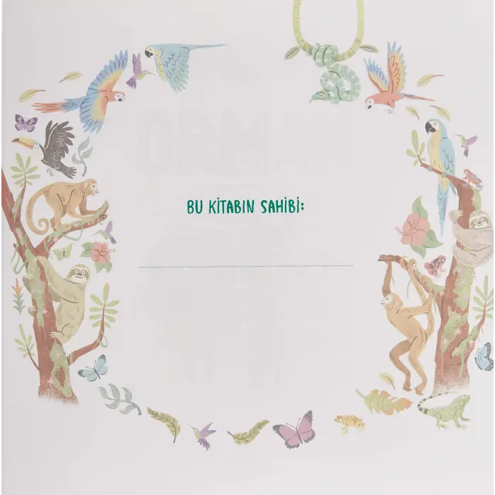 Çevremizdeki Dünya - Orman