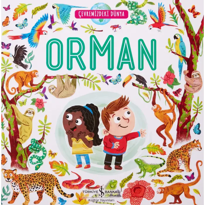 Çevremizdeki Dünya - Orman