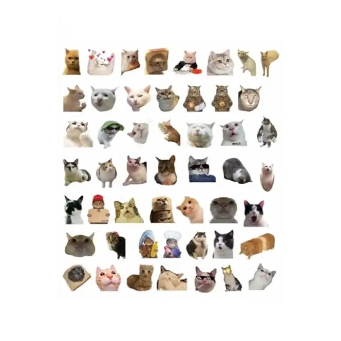 Çılgın Kediler Laptop Notebook Tablet Sticker Seti