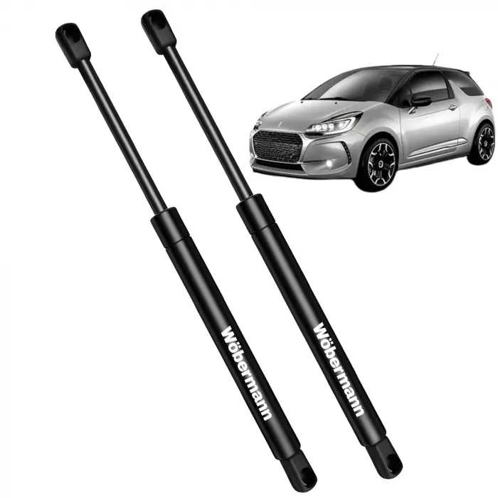 Citroen DS3 2010-2017 Bagaj Amortisörü Sağ ve Sol Set