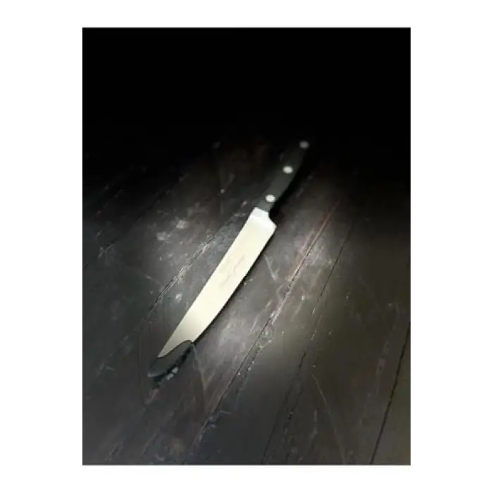 Classic Geniş Steak/Biftek Bıçağı 12 Cm - 49017