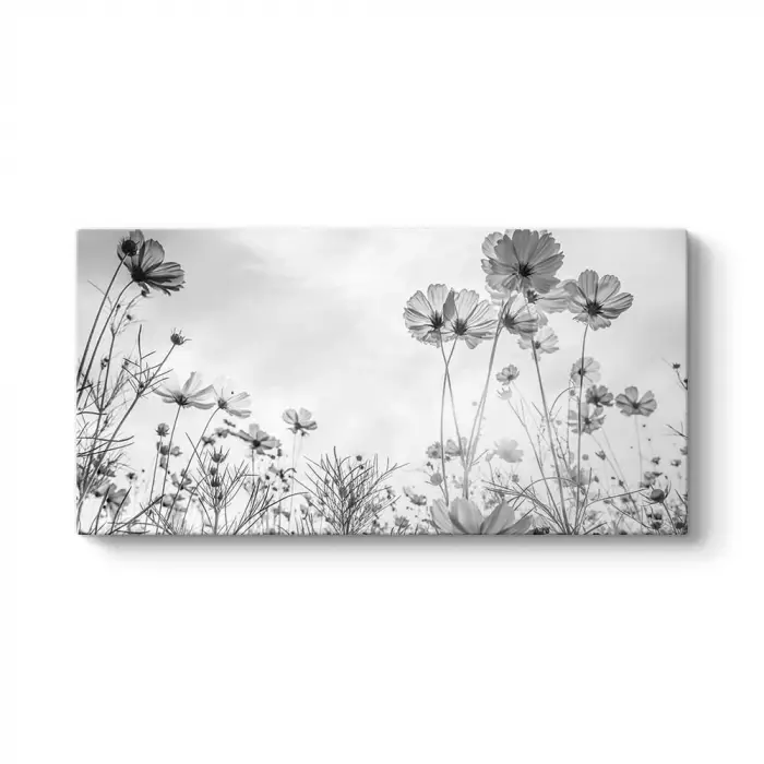 Cosmos Çiçeği Kanvas Tablo 140 x 70