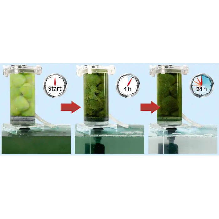 Crystal Clear 6000 L