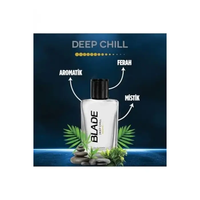 Deep Chill Edt, 70 Mililitre